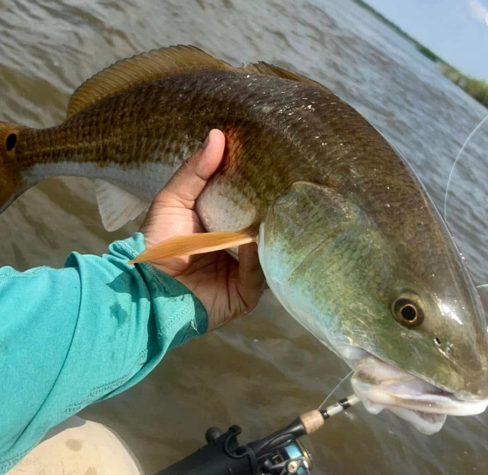 Solid Glow - NEW COLOR!